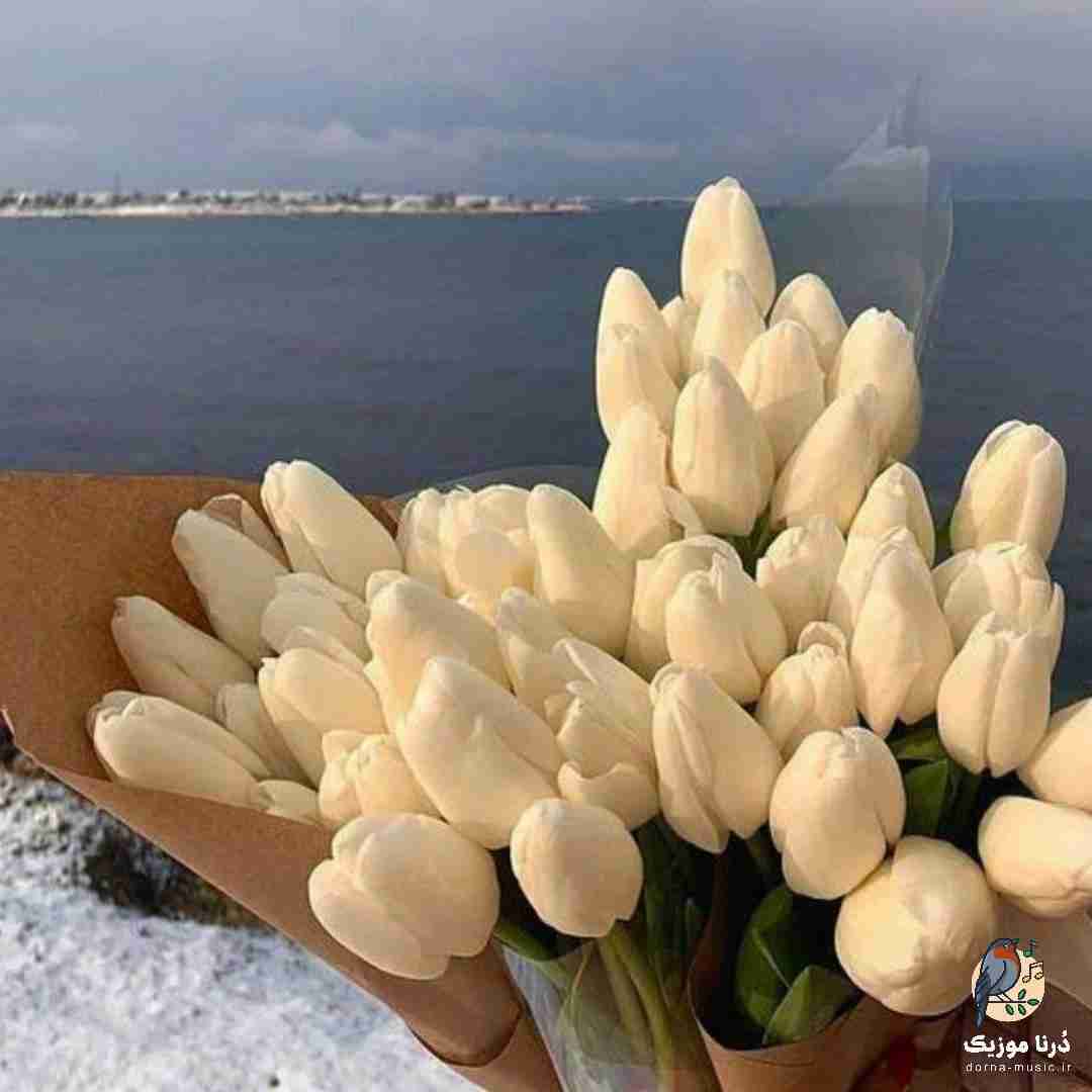 فهمیدمش که نمیخوره کسی غم مارو پ حق بده