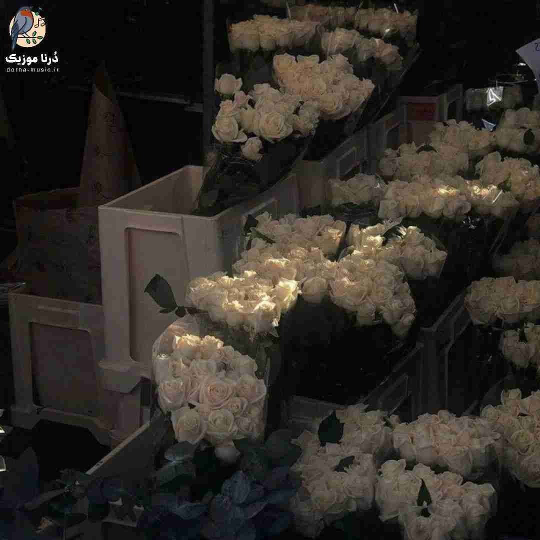  میکنم آرزو مرگ هرشب چپ سینم سنگه