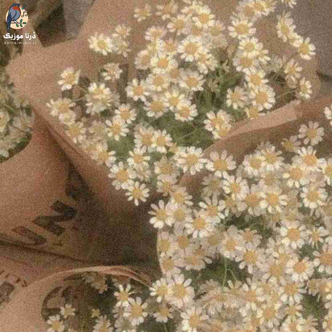 ما به جنگ عادت داریم مثل ظهر آفتاب