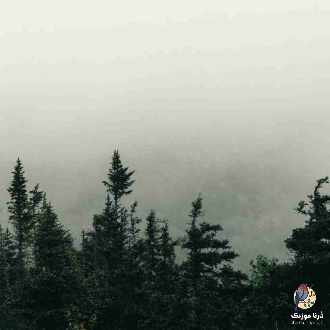  سنگی از معدن درد مهم نی چی بوده قبل تو