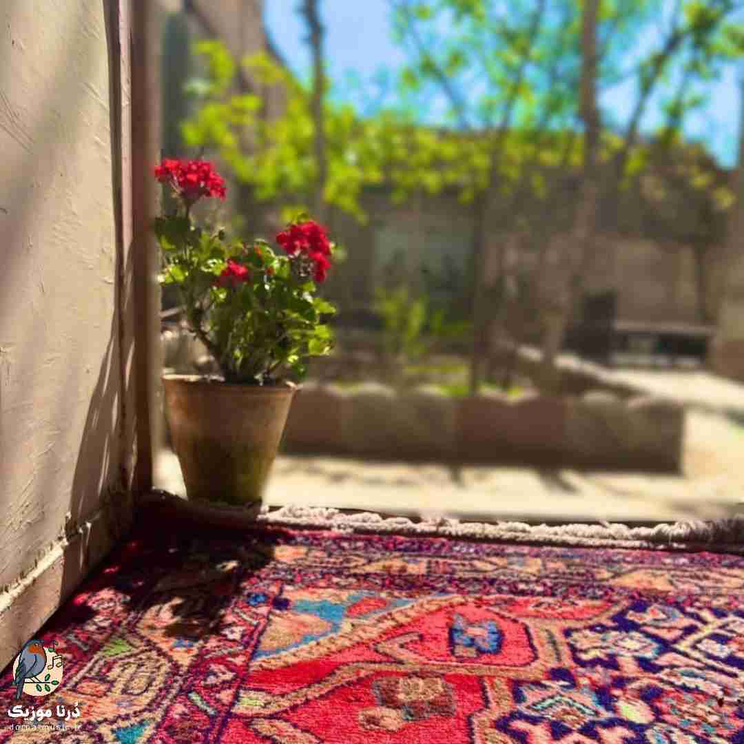  به خودت بیا ناموسا داش بسه همش کار