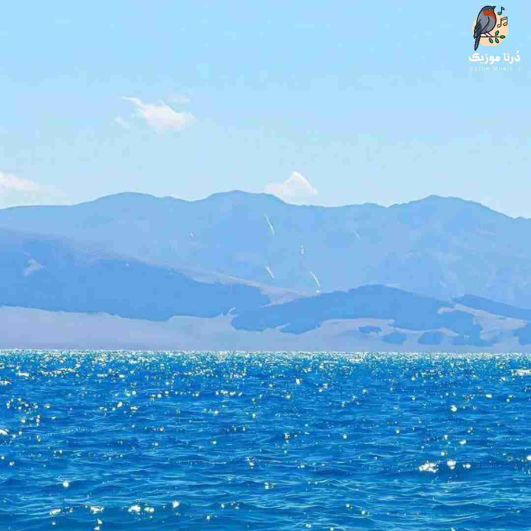  یه جایی دیدمت که موهات بور بود ولی چشم ابرو مشکی