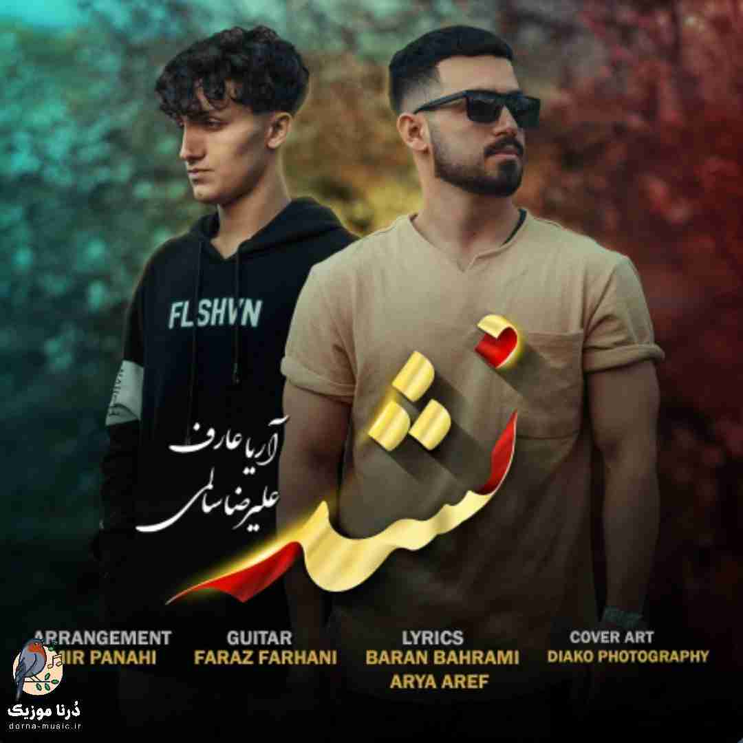 علیرضا سالمی نشد