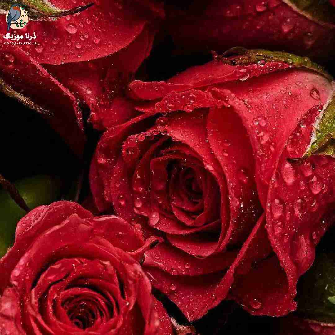 با تو چه شب ها چه روزها به سر بیارم (میکس اینستا)