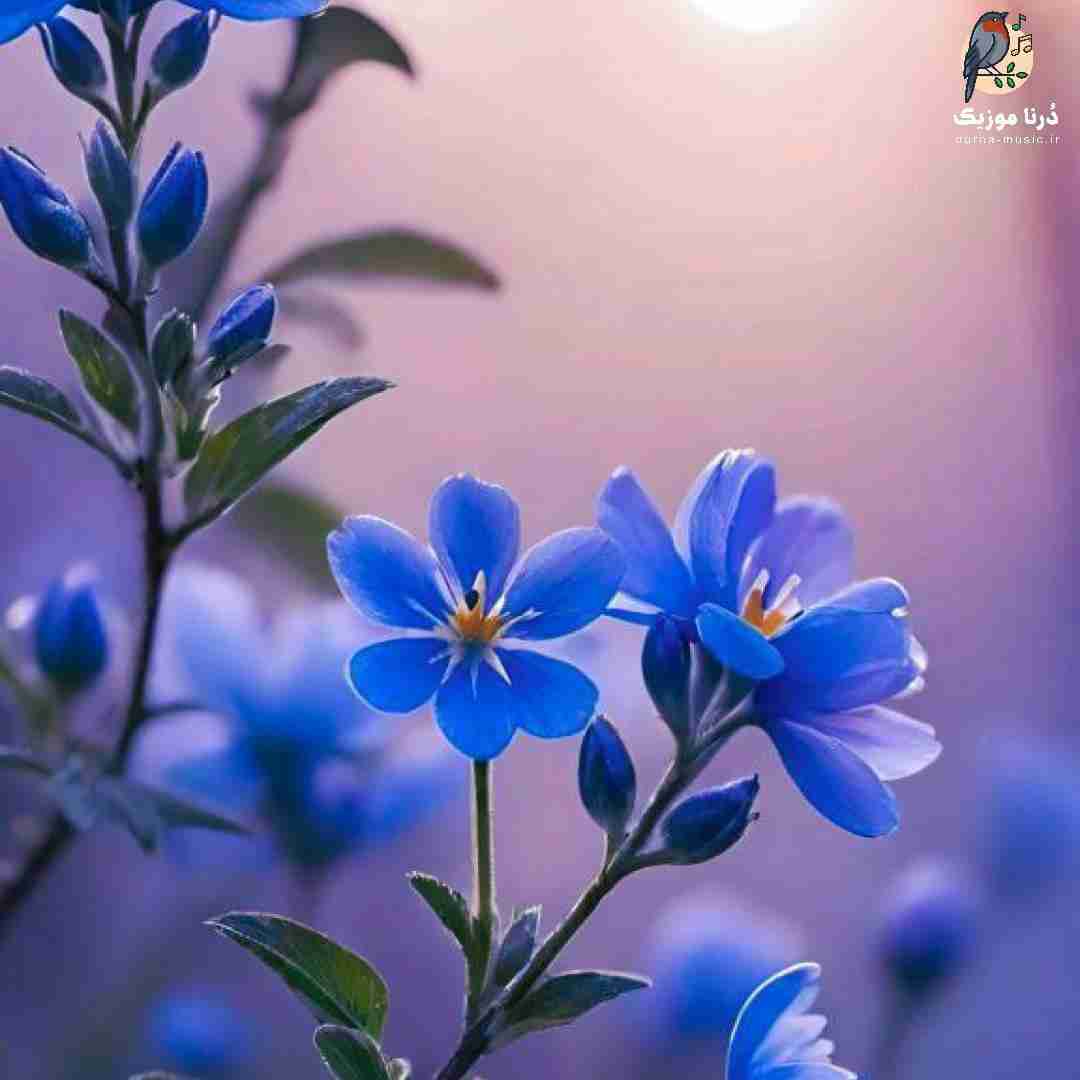  پاشو برو تا بهت حواسم نی میکشه چشات