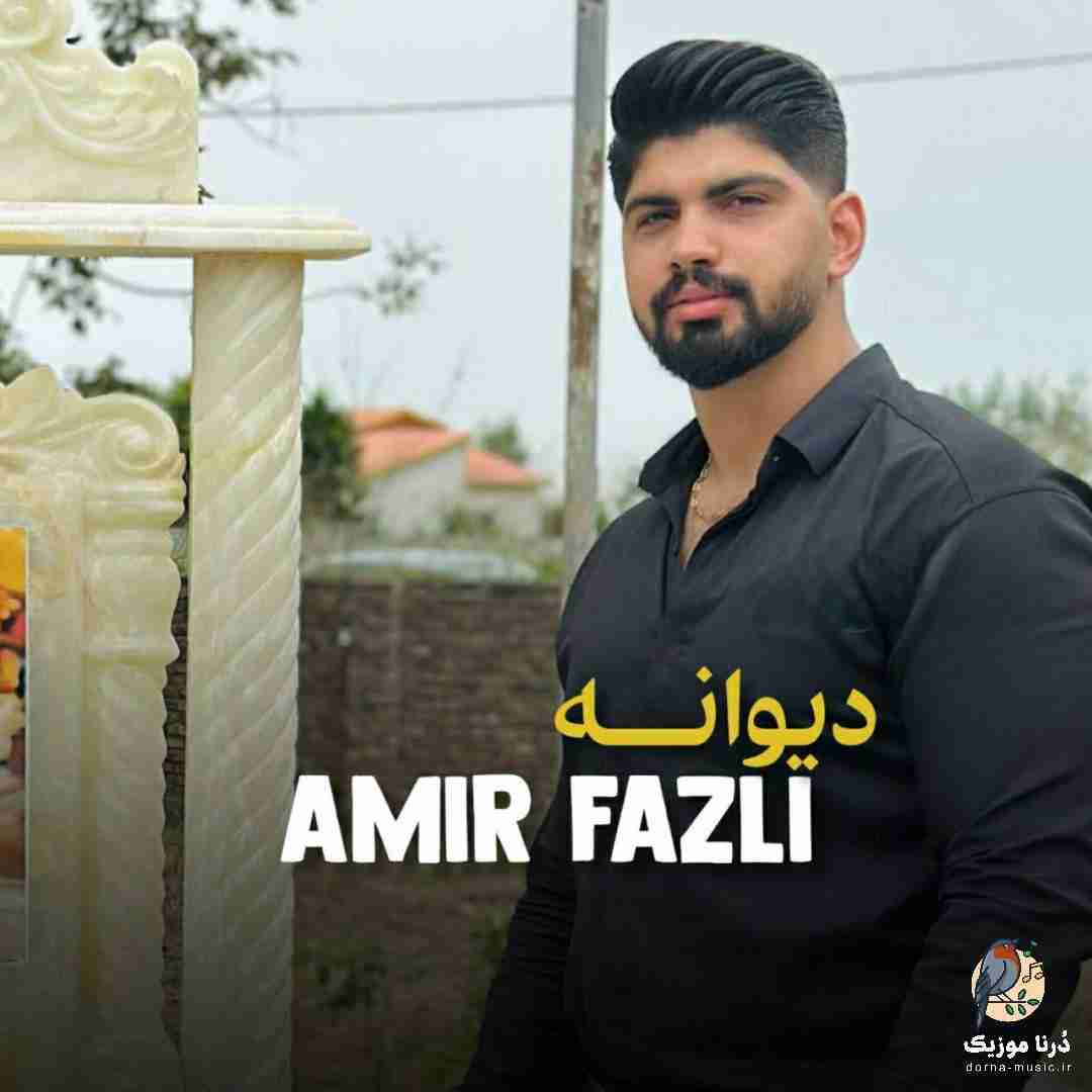 امیر فضلی دیوانه