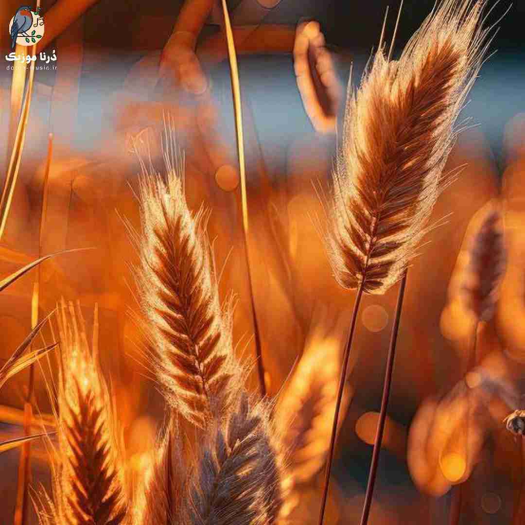ولی اینا میگذره زود بابا همه چی که پول نی