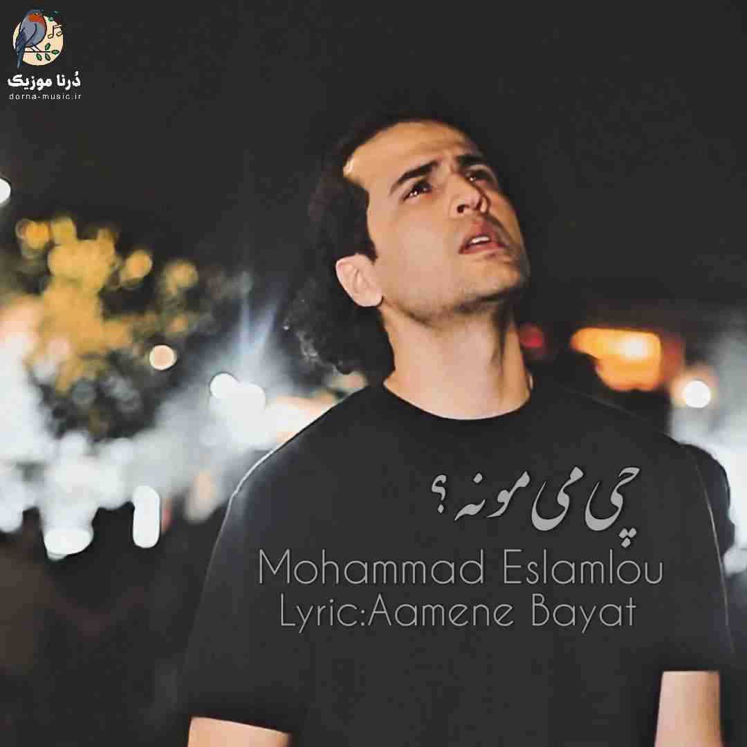 محمد اسلاملو چی میمونه
