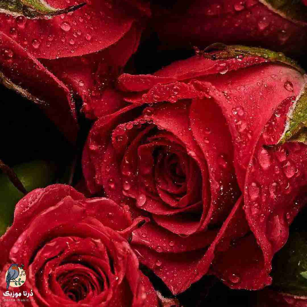  یه زمون کار من این بود مثل دیوونه ها