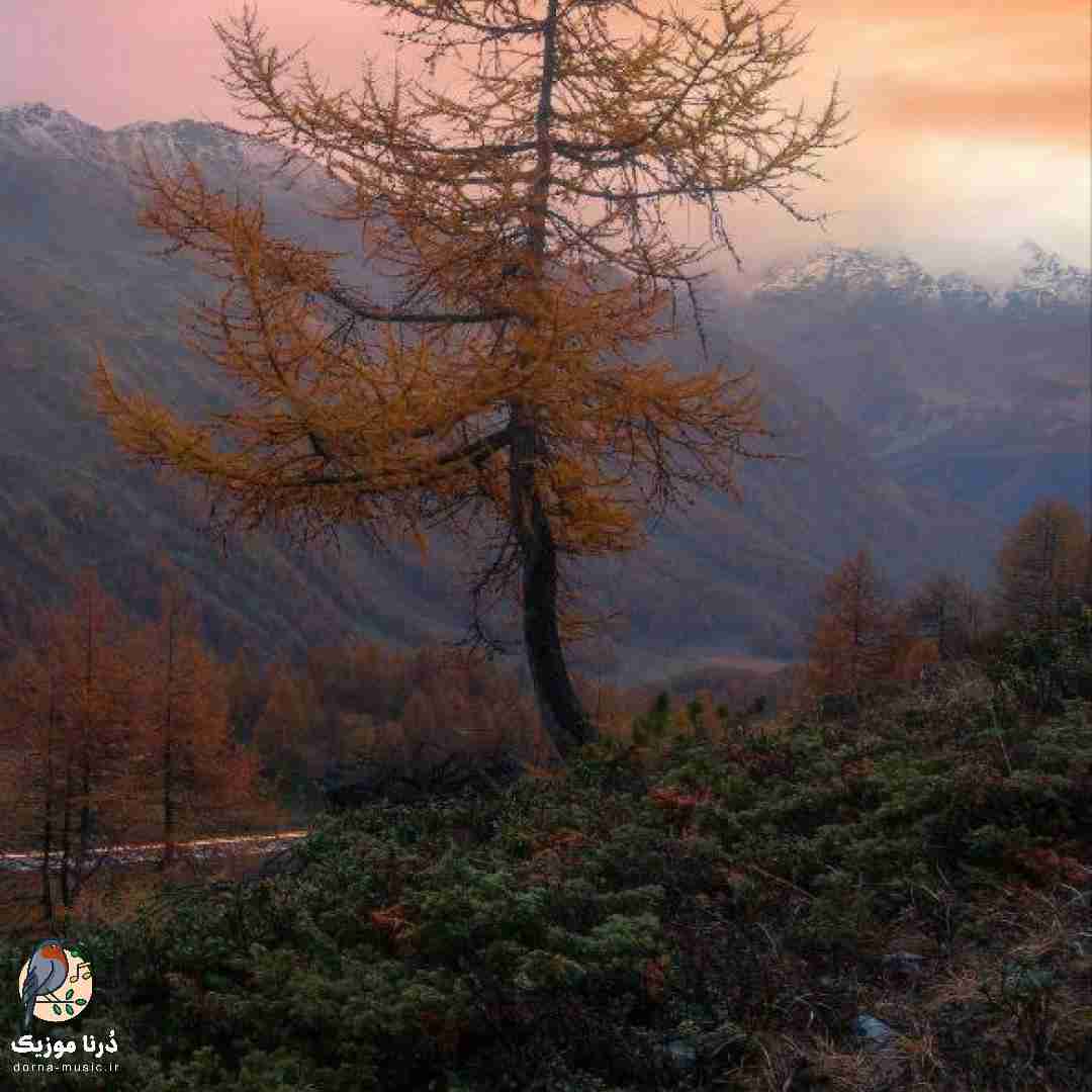  عشق مو نچراله همه چیش ساده