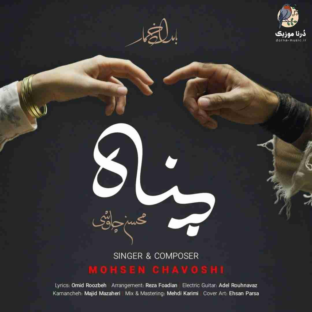 محسن چاوشی پناه