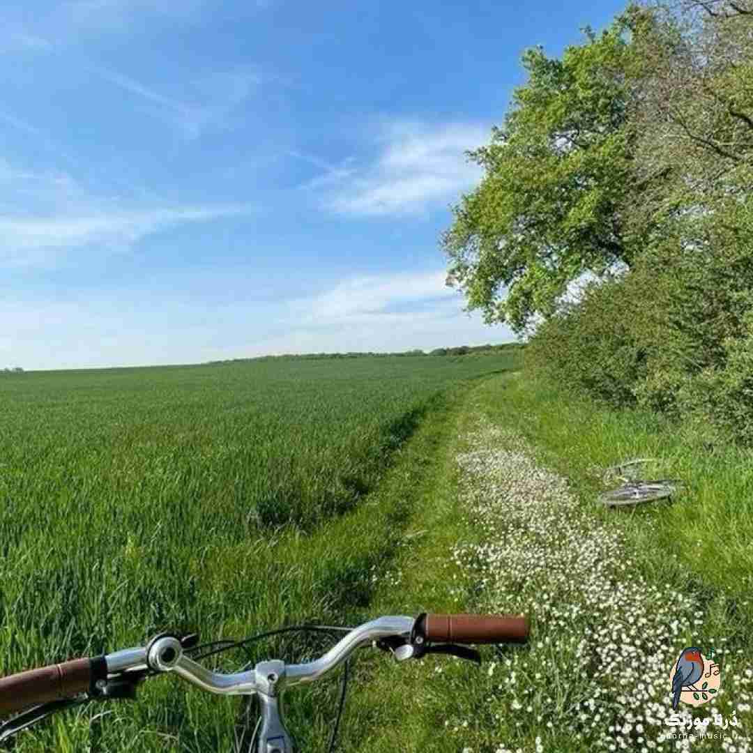  پروندمو دادن بالا دادستانی زووم بیف چیه اوبی