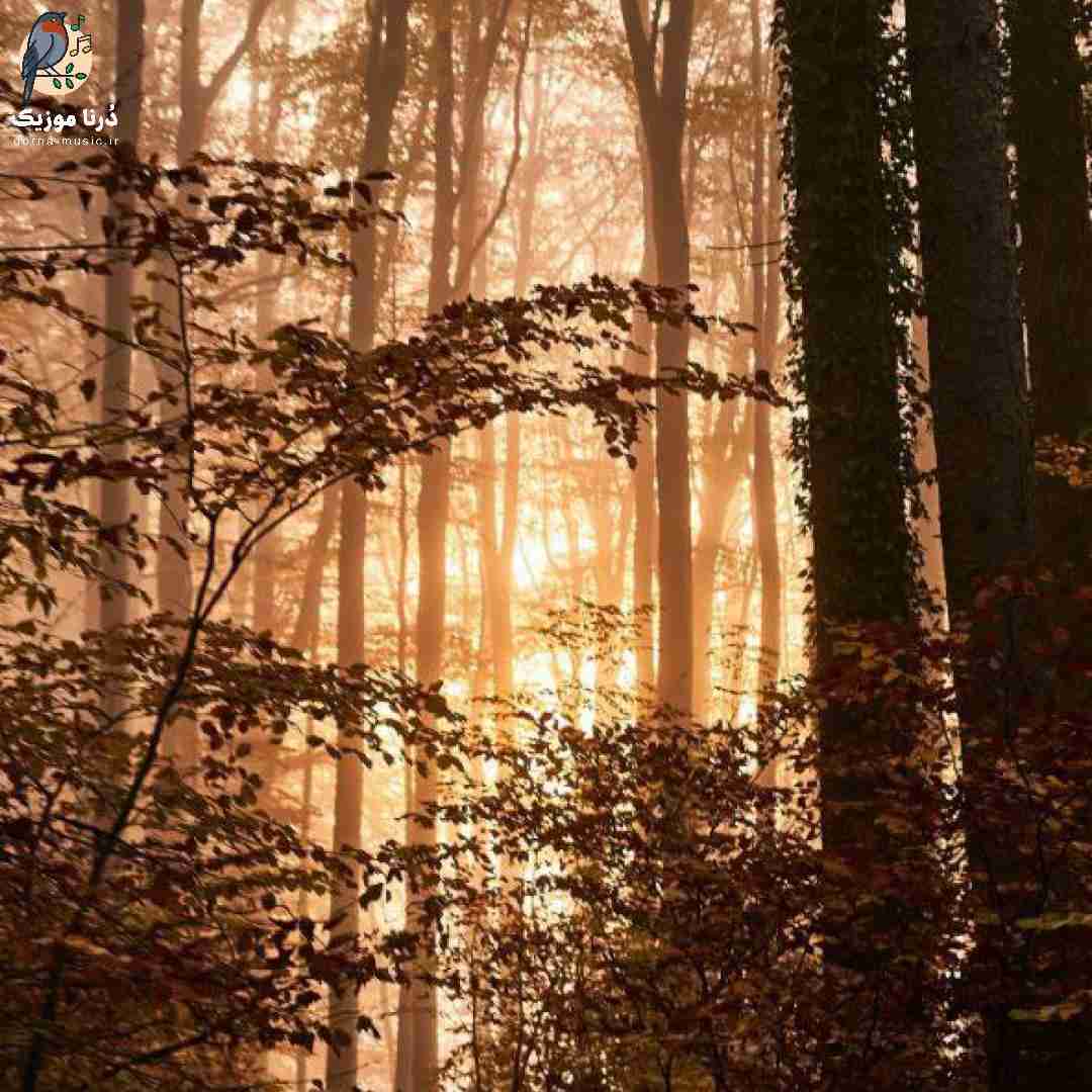 انگار شده بودی طلسم طلسم یهویی رفتی منو