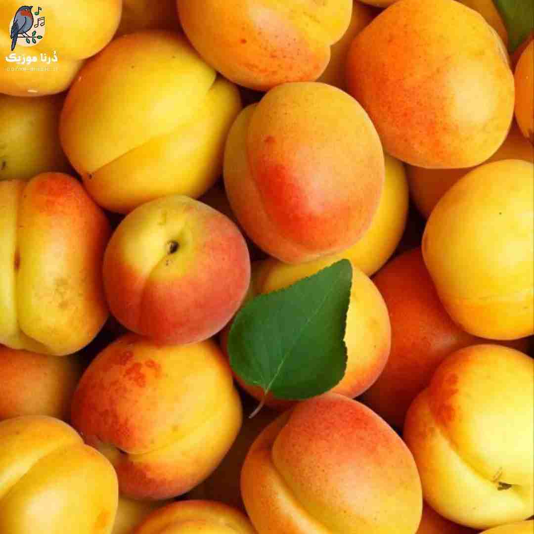  از شمرون رفتیم شهرک شهرک ایست بود