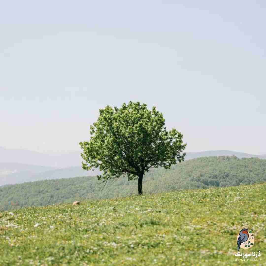  مه از گشنه های کابلم اگه عشق جوابم کنه