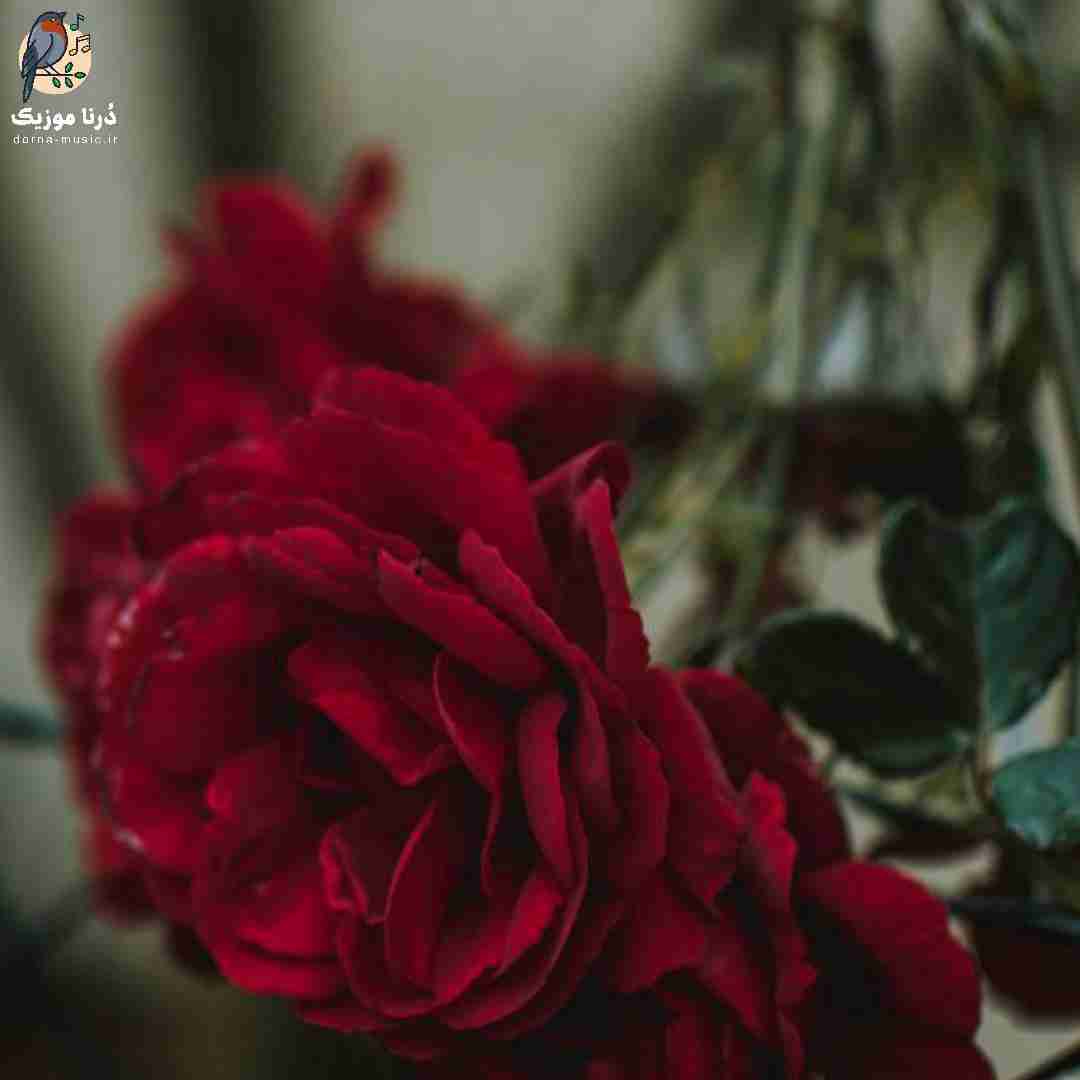  حال هیچی نی انگار به تخت دوختنم منمو نخ به نخ