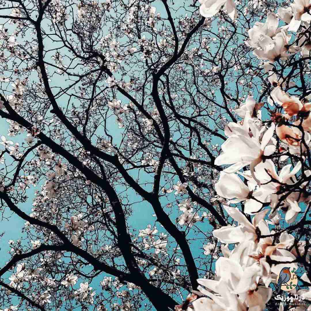 زیر خاک برم میشه دردات رفع بگو زودتر بشه