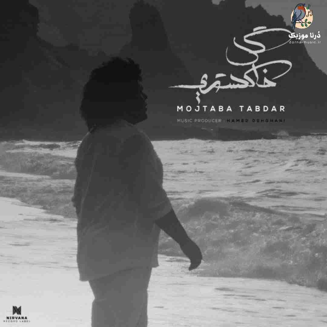 مجتبی تابدار گل خاکستری