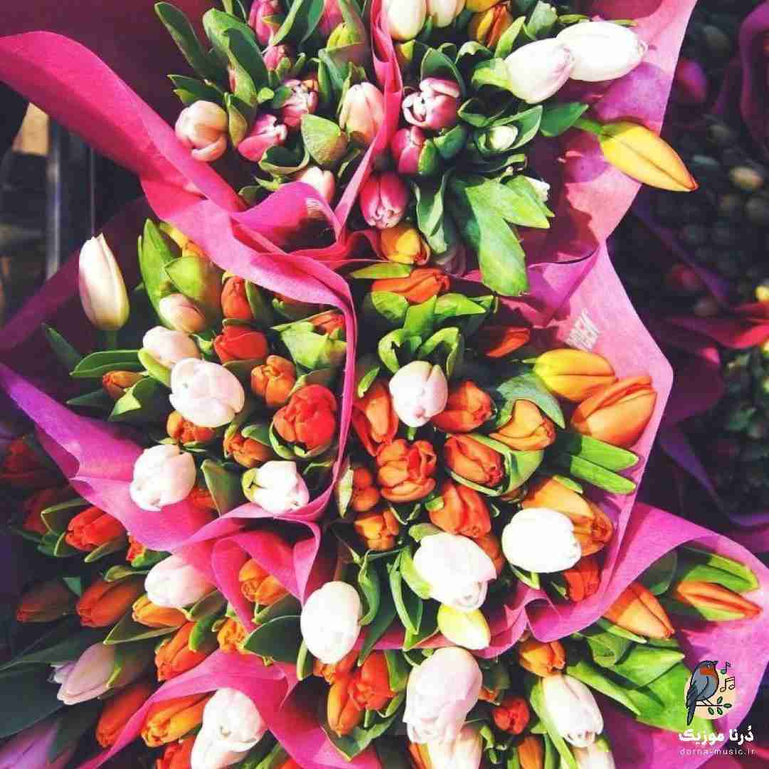 با کلمه هام حرف نمیزنم میرقصم چون قافیه هام