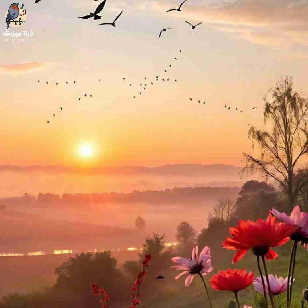 مست میکنم کمتر بفهمم چقد قلبم شکستس