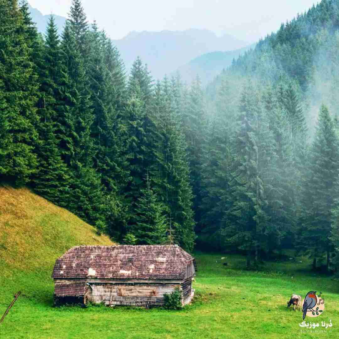 دانلود ریمیکس در ماه فقط یبار دیدمت ولی وایستادم باز بی لیاقت