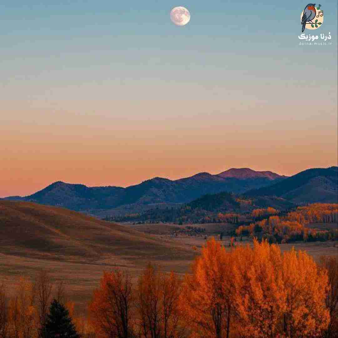 همش تاریکم گلم رشد نکرد هرچی پاش باریدم