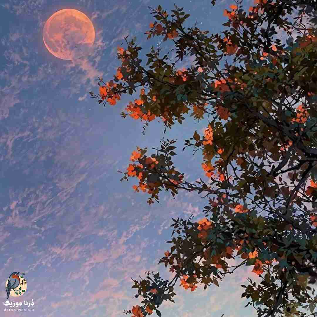 شبایی که مستم آمارش در رفته دیگه از دستم