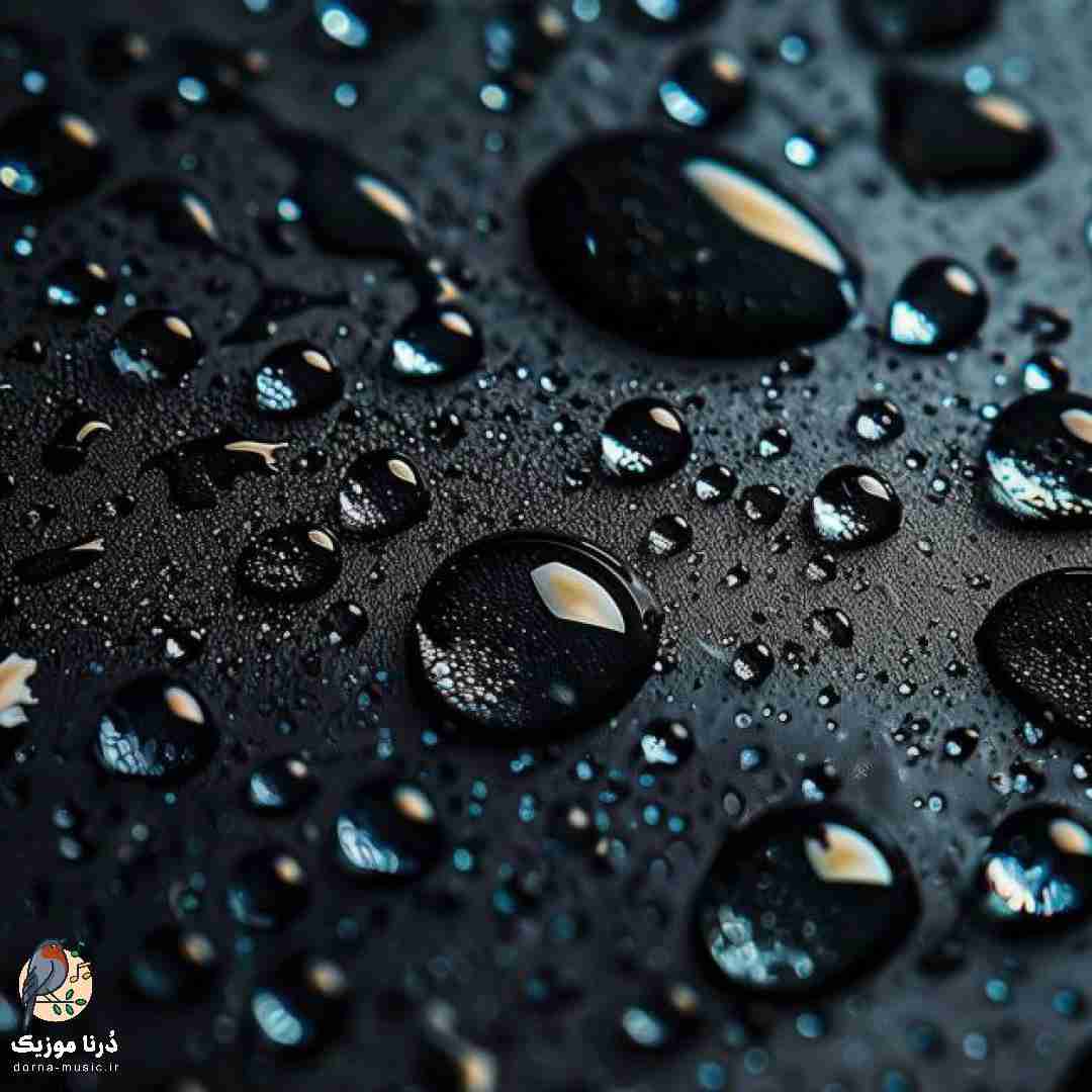 با یه پارس سر کوچه لنگر زدم