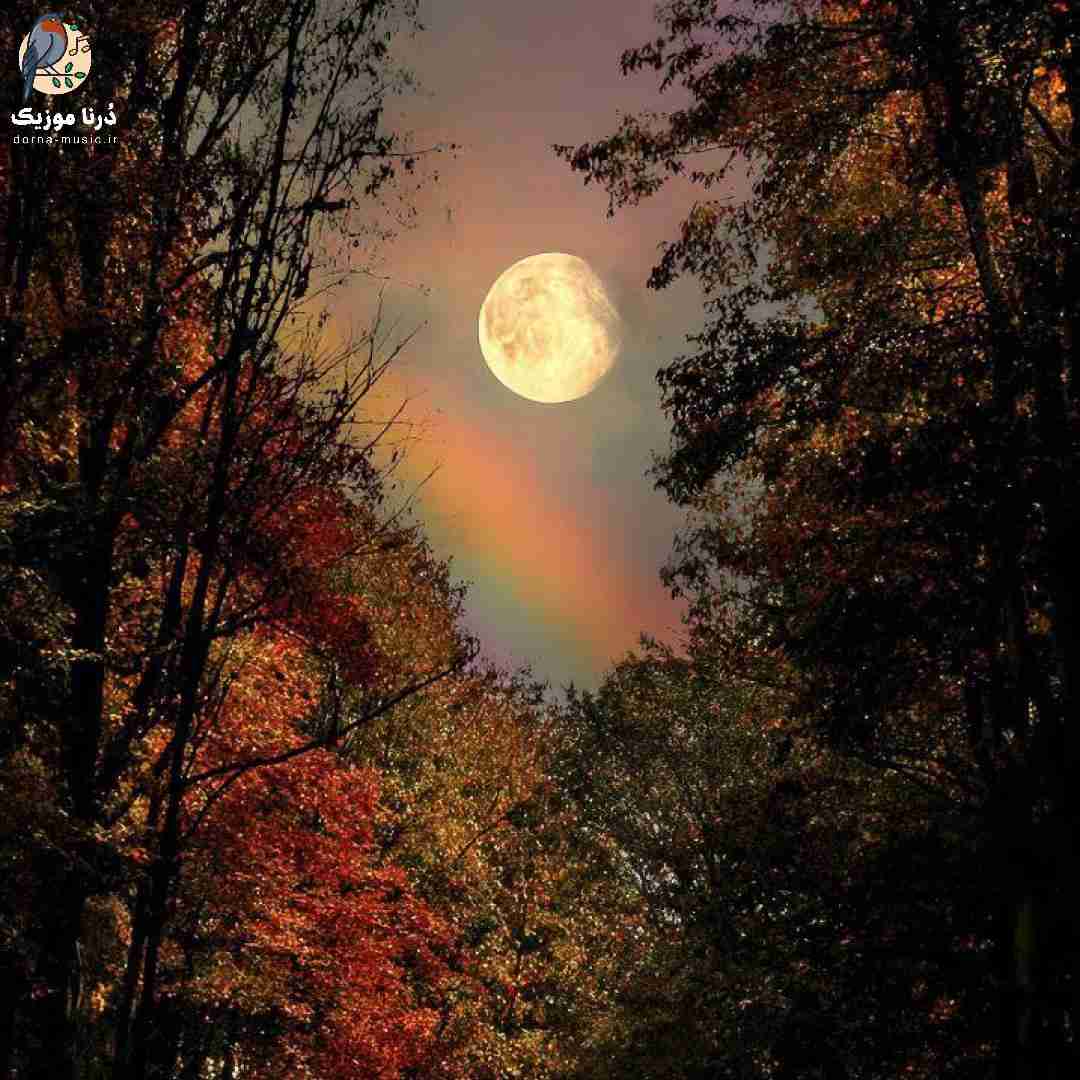 دانلود ریمیکس منکه دستاتو ول نمیکنم تو باد و برف و بارون