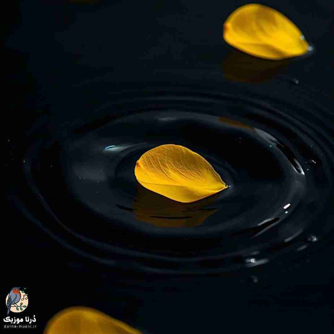 همش تو فکرمه بزارم برم حق بدید یه بارم به من