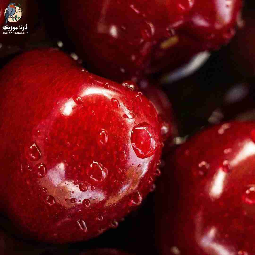 پشت میله مژه هاتم بی ملاقاتی کف ایران زدم
