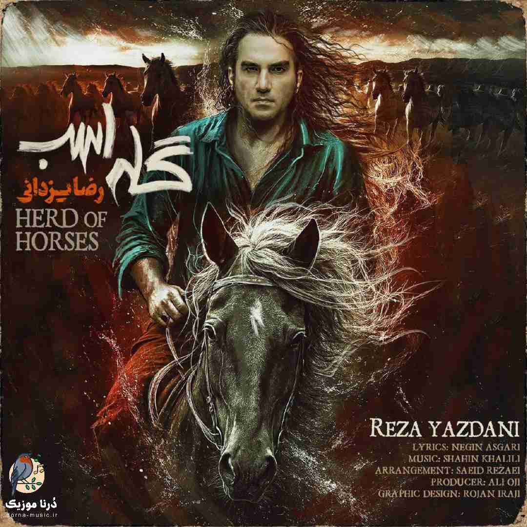 رضا یزدانی گله اسب