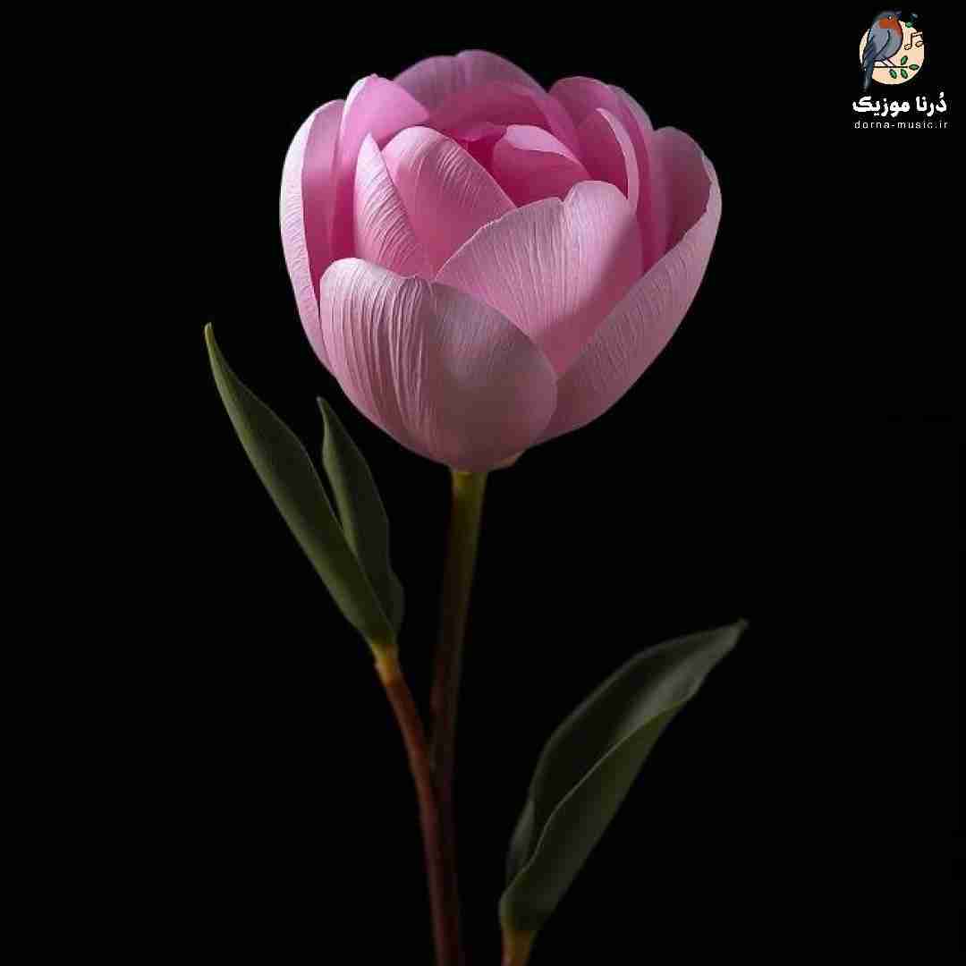 میگی یه دستم گله یه دستم پوچ من یه چشمم