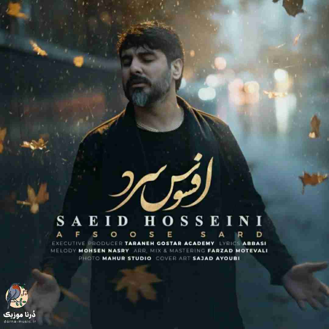 سعید حسینی افسوس سرد