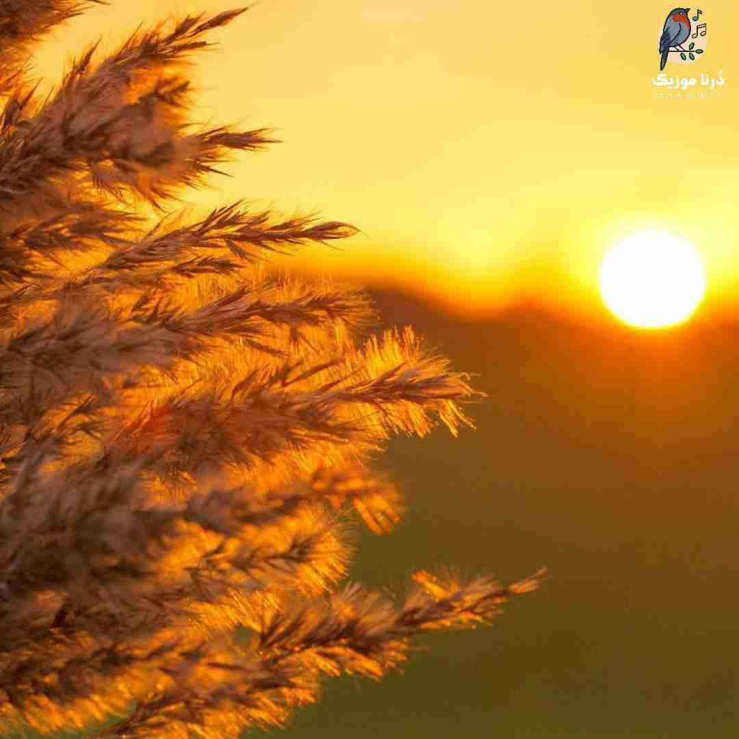  ازم زیاد نشو دور دوتایی دیدیم ما تهشو زود