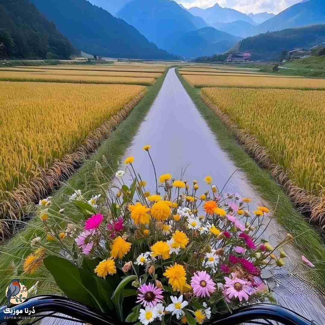  انگار قلبو کندی از من تهش واسم موند ولی