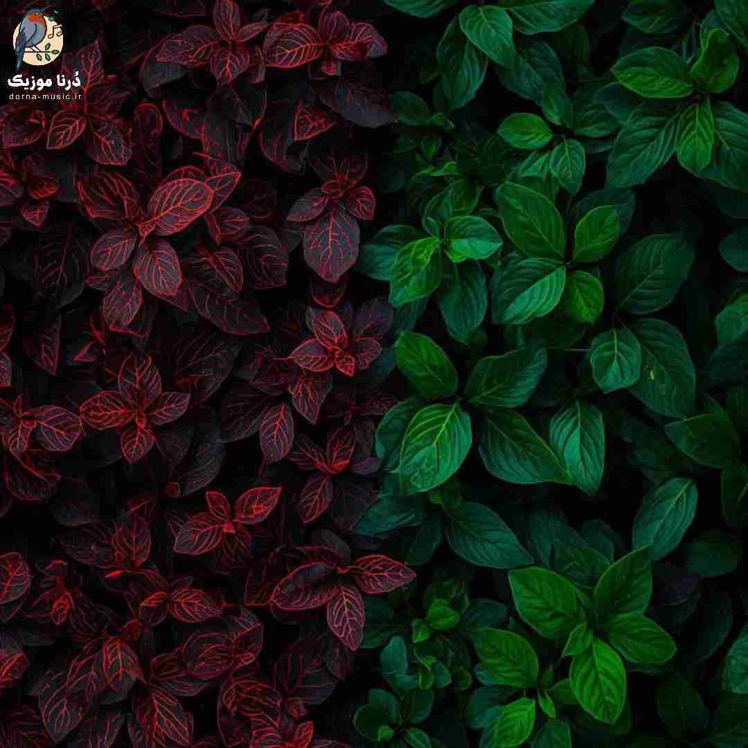 دیگه فقط جمعه نیست شنبه دوشنبه هر روز دلگیره