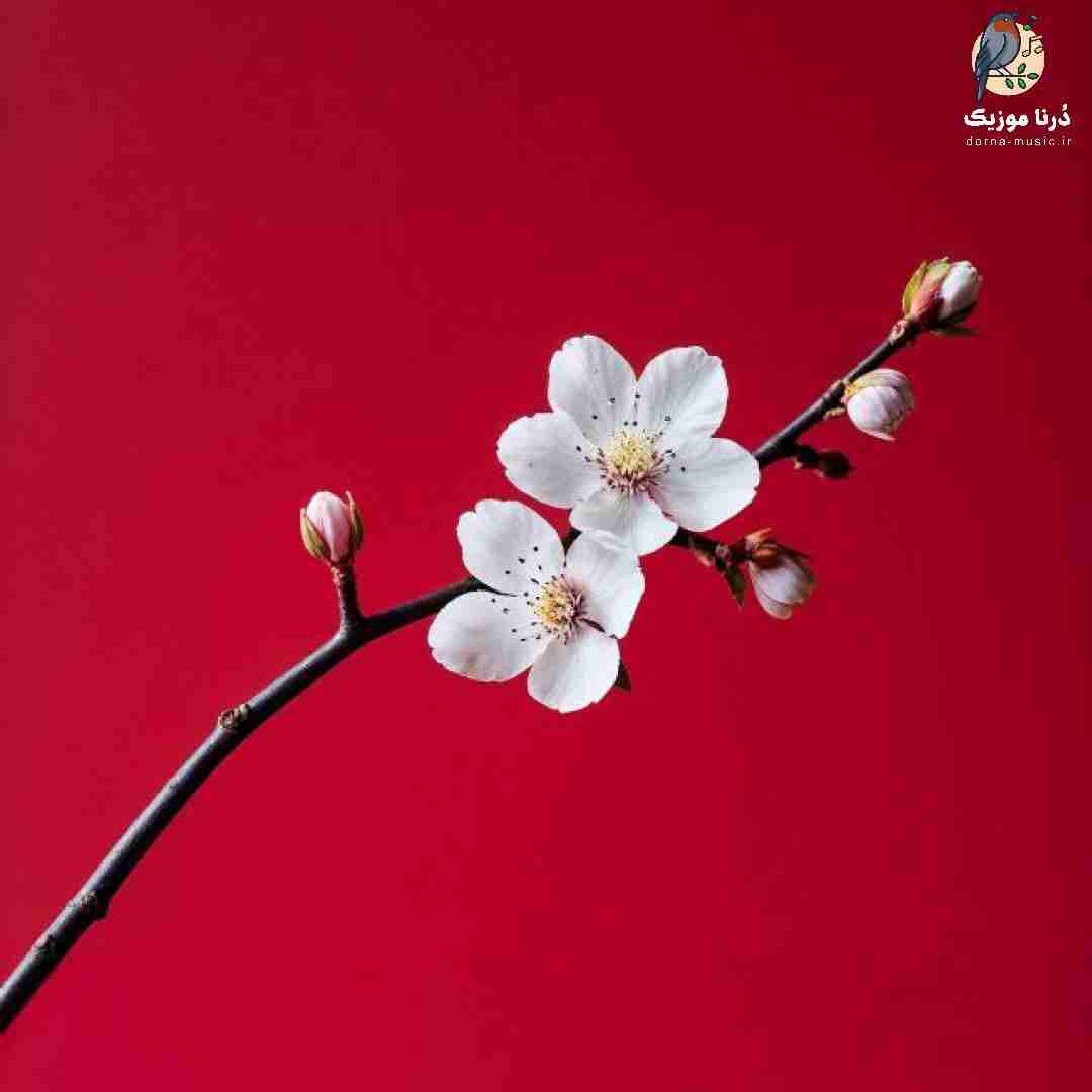 دانلود ریمیکس هیچی سر جاش نیس دلم یه زندگی آروم میخواد