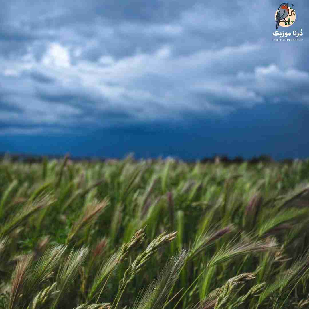  مه و تو اعتماد کردم تو قلبمه‌ شکانیدن