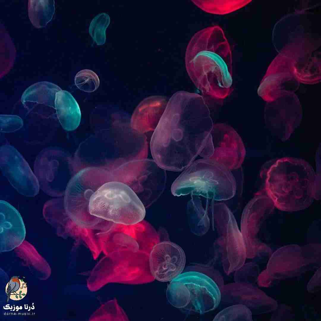 بهش بگید دیگه نمیخوادت دلم به روز صد تا قرص