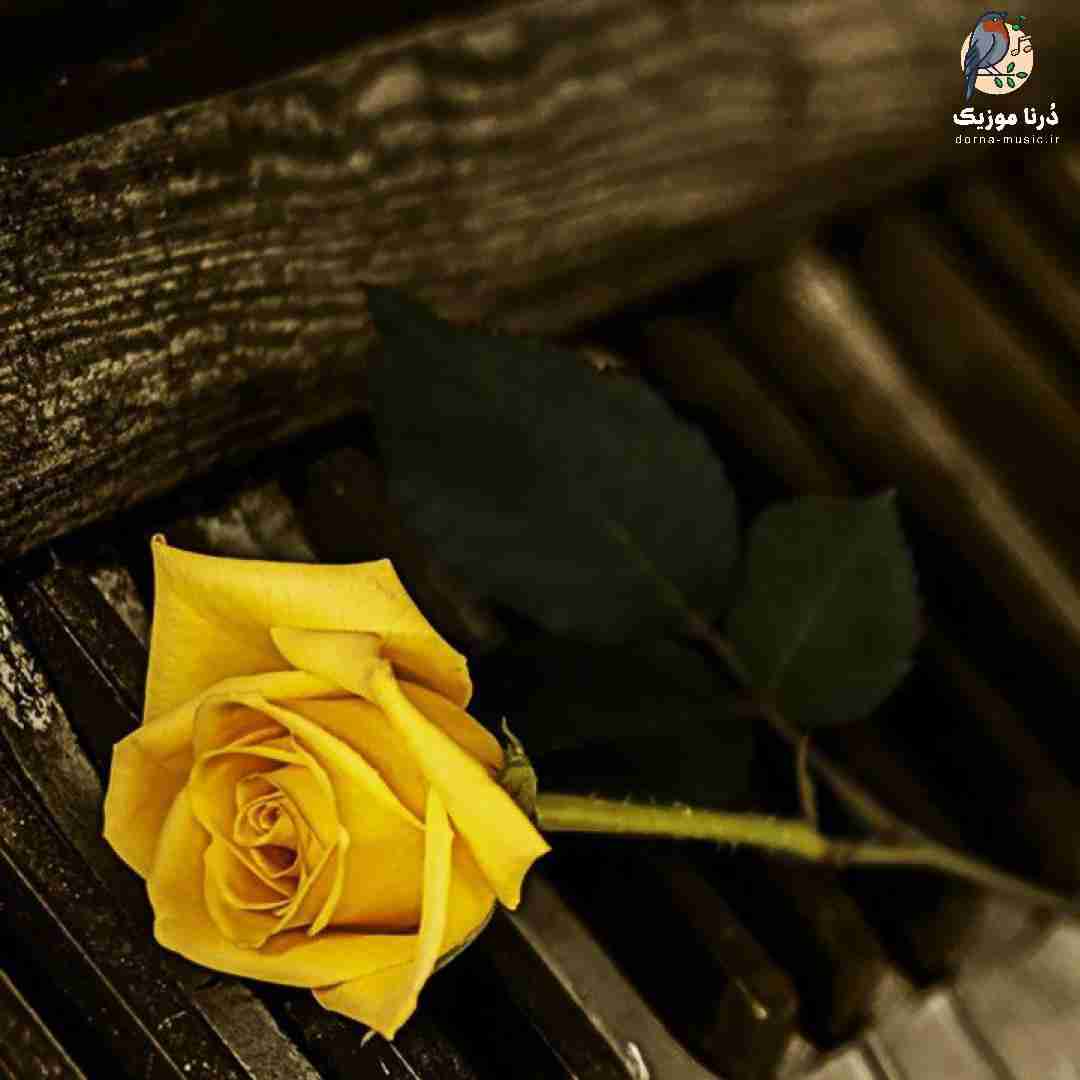افتادی از چشمام مثل قطره اشک همه رفتن