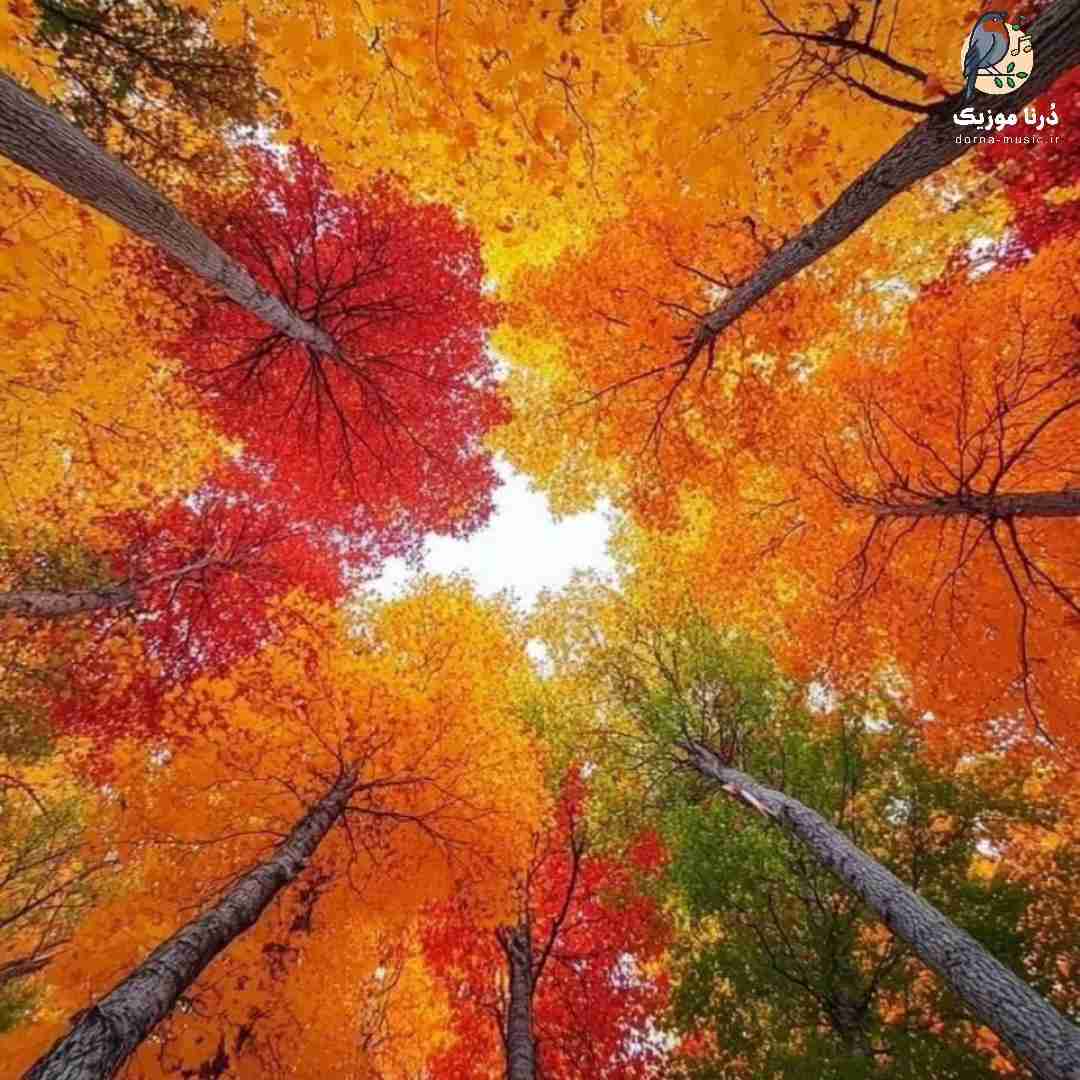 خودم جلو خودم وسط جنگ احساساتم شده