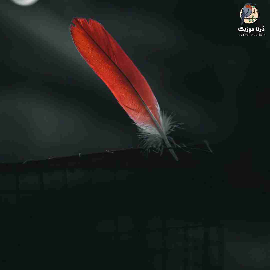 سمیرا کارزان کوچ نهکی