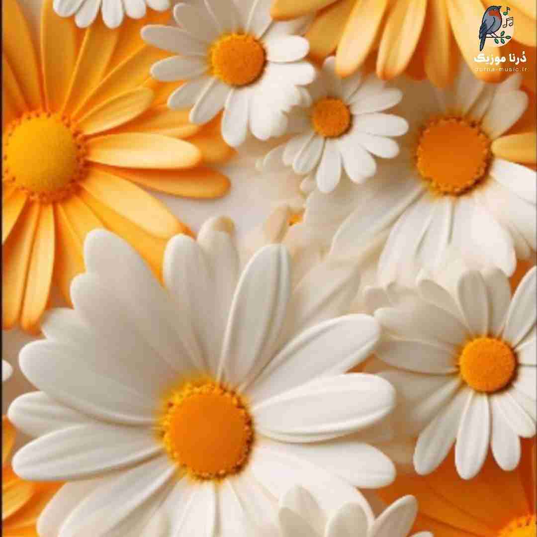  تو کجا ما کجا بیا برو تبریا گم شدم توی دنیای