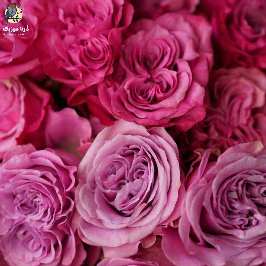 با نبودش میگیره کل وجودمو ترس گرفتارشم