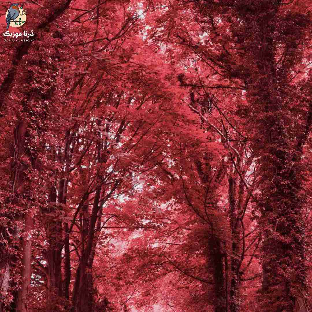 دانلود ریمیکس مارو از زخم جنازه هامون تشخیص بدید فردا