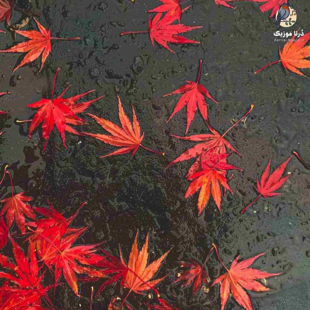دیدی توام نتونستی منتظر بمونی مگه عاشقم نبودی