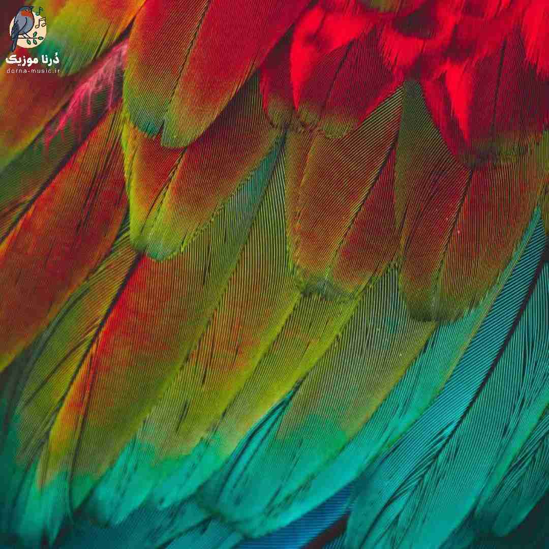 ما رابطمونو باختیم به چی به تو که ذاتت