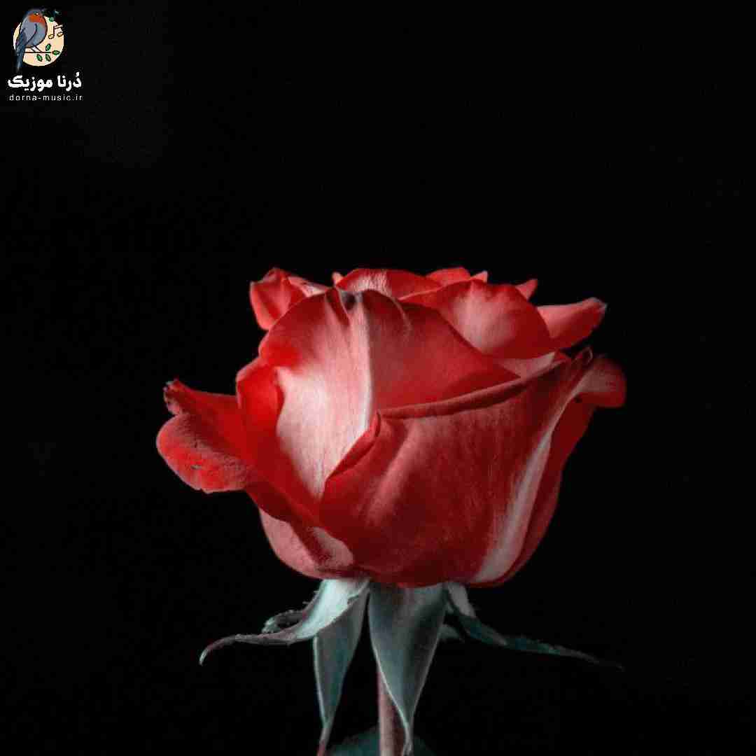 موهام رو به سفید شدنو اوضام که یه ریز