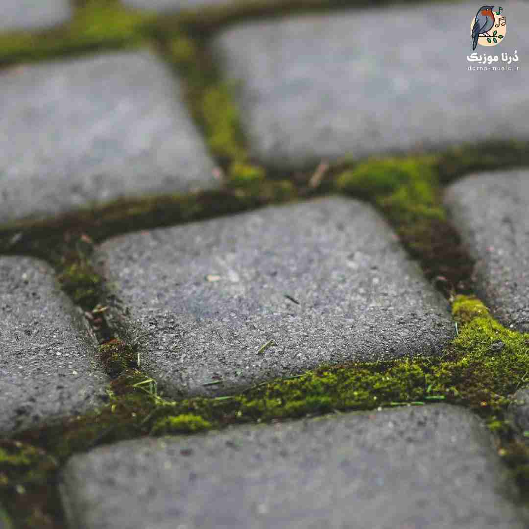 قرارمون این نبود بذاری بری تو از پیشم زود